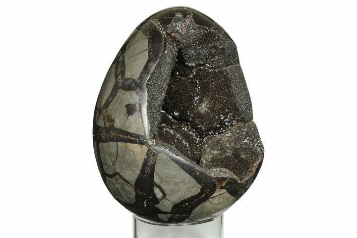 5.6" Septarian "Dragon Egg" Geode - Black Crystals